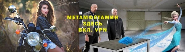 индика Козловка