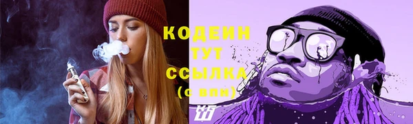 индика Козловка