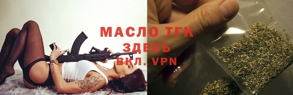 индика Козловка