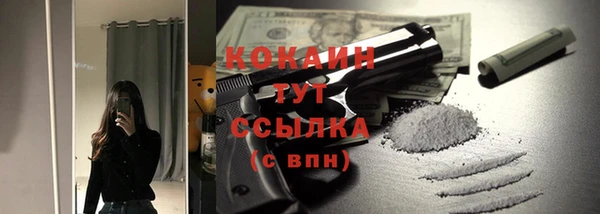 индика Козловка