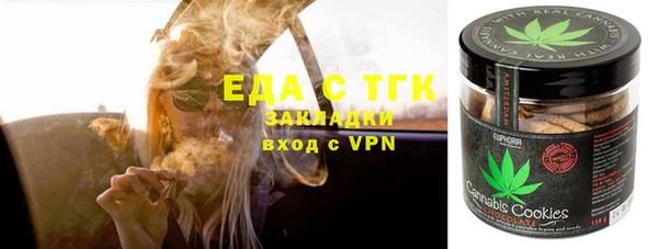индика Козловка