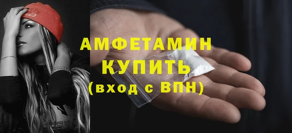 индика Козловка