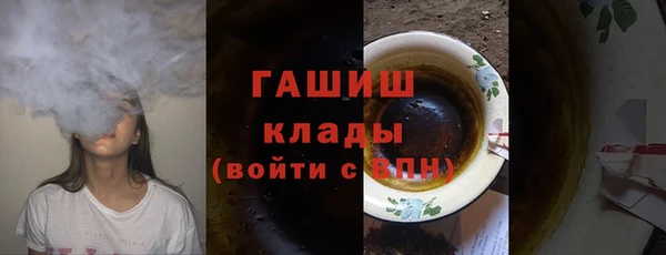 индика Козловка