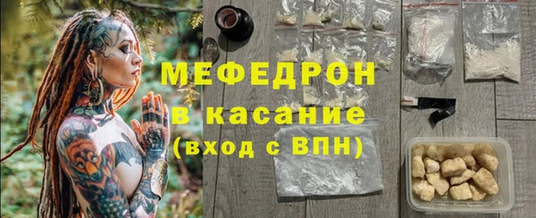 индика Козловка