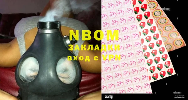 индика Козловка