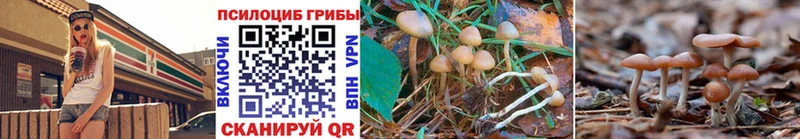 Купить закладки  Бутурлиновка  Галлюциногенные грибы MAGIC MUSHROOMS 